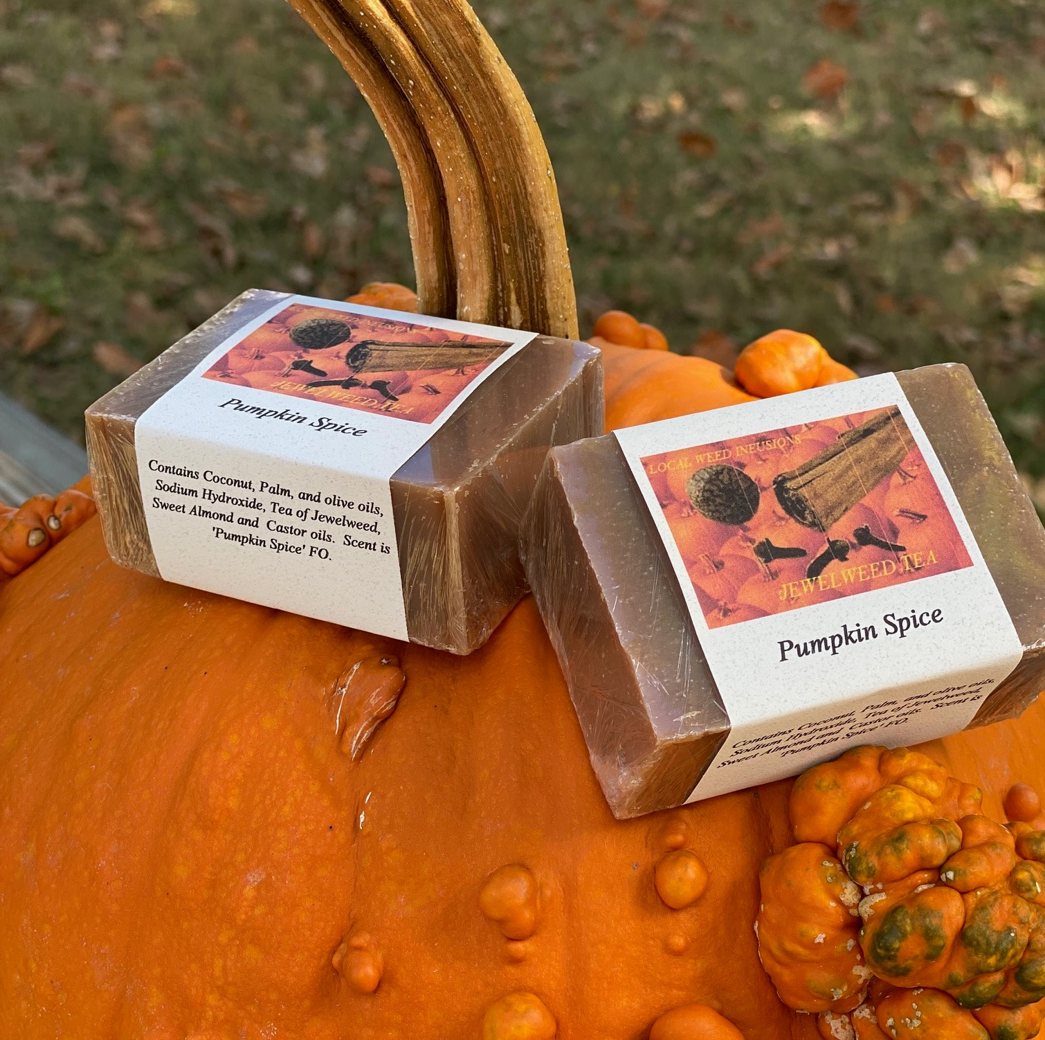 Jewelweed Pumpkin Spice and Pumpkin Pie soap bars on wooden log